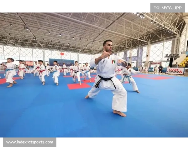 空手道文化推广活动助力公众深入理解和体验传统武道精神